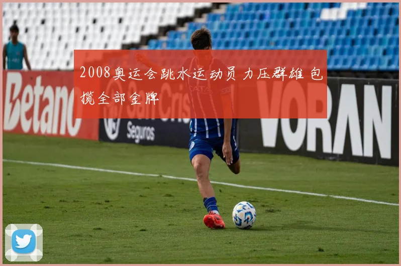 2008奥运会跳水运动员力压群雄 包揽全部金牌